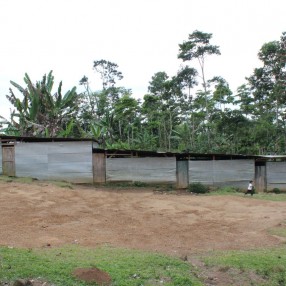 Xolcaja