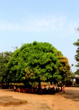 130122_JC_Adaklu_IMG_0459-030